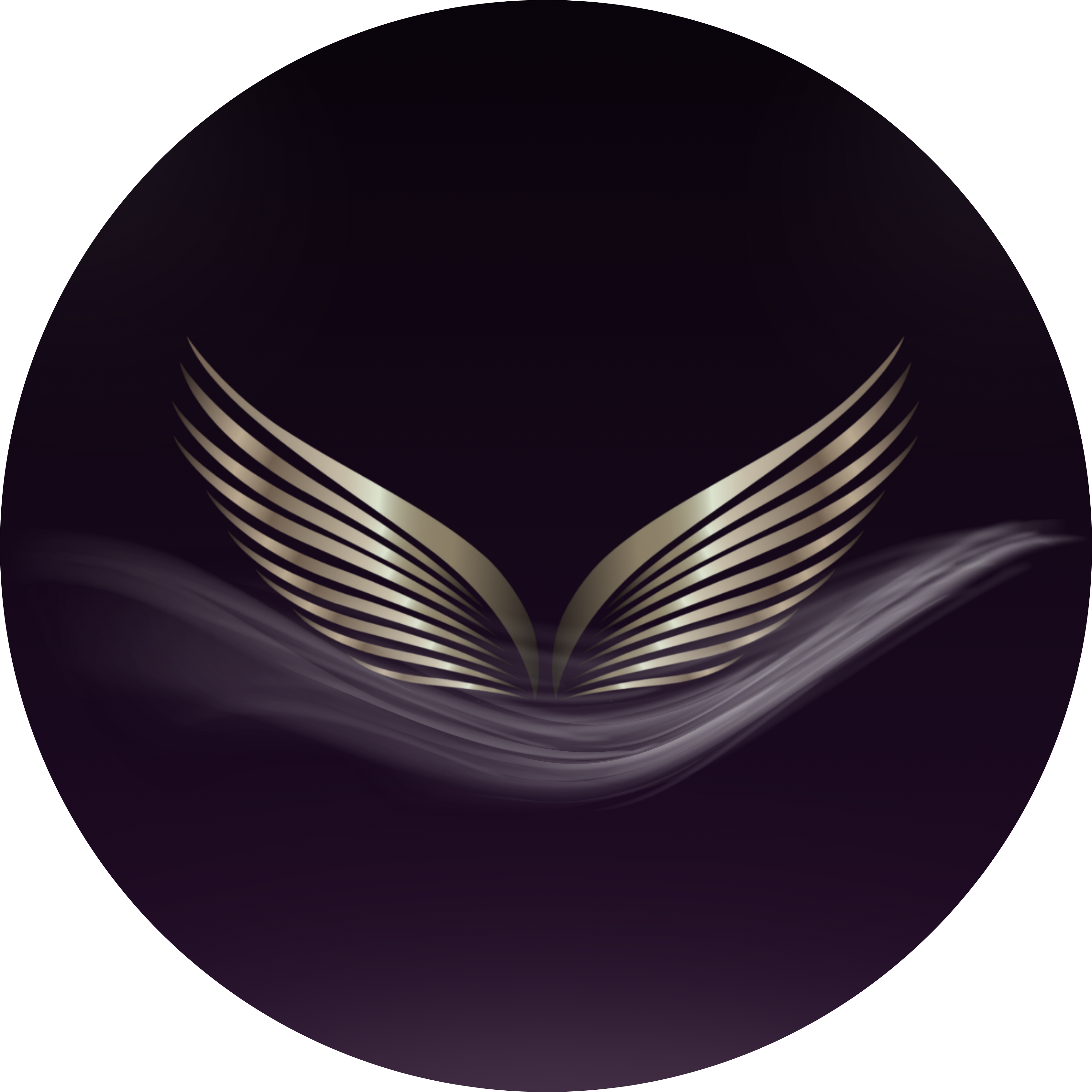 Ndege Aerospace©