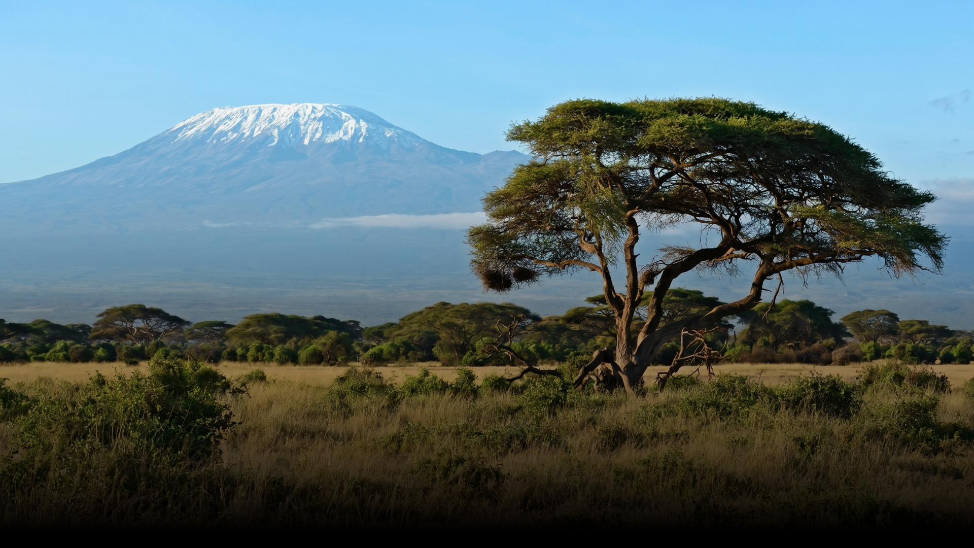 Private Estate of Ang'wen, The Manor — Amboseli, Kenya